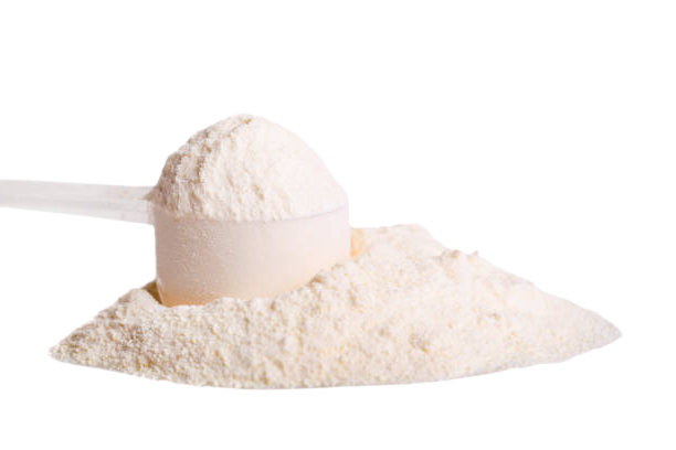 Whey Powder, Wholesale Protein Powder - 25KG – Kent Foods Direct